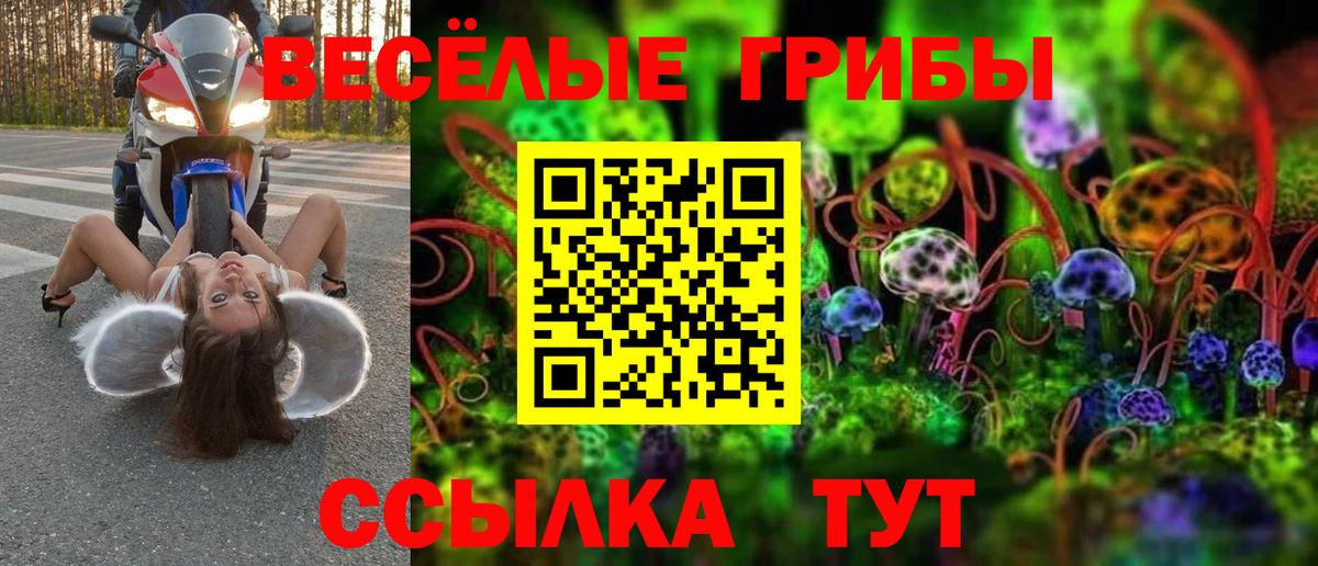 Галлюциногенные грибы мухоморы Рубцовск