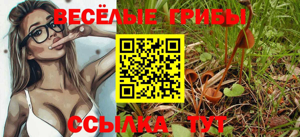 Псилоцибиновые грибы Psilocybe  Вход с VPN  Рубцовск 