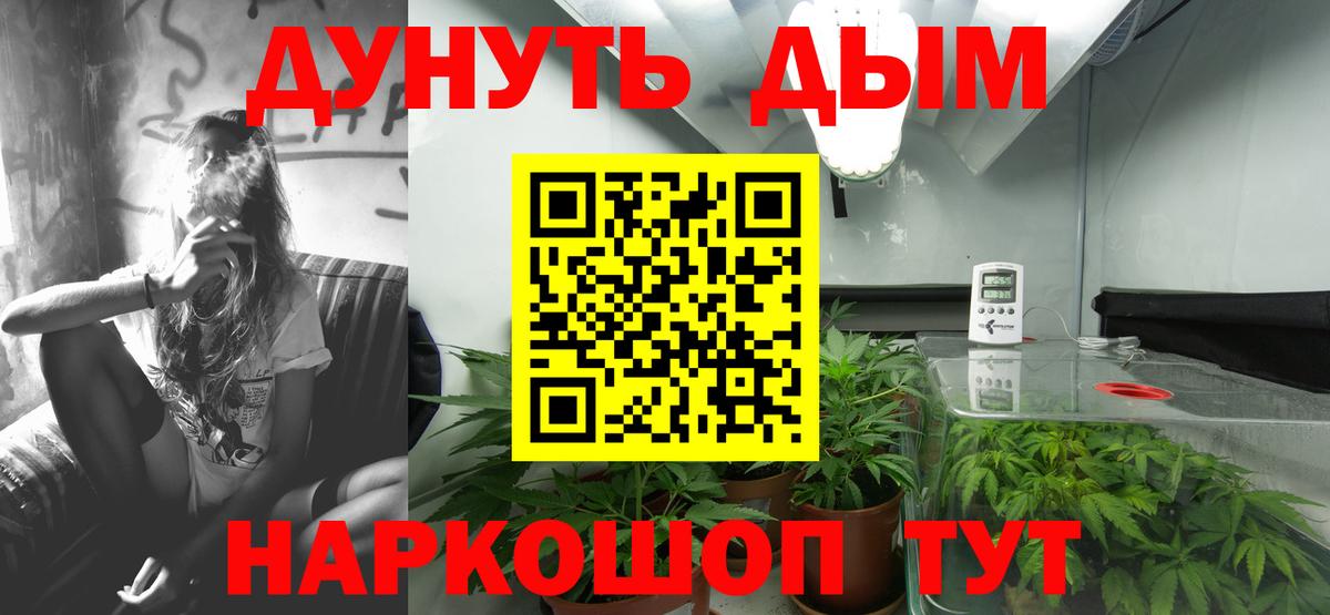 Канабис Ganja  Вход с VPN  Рубцовск  Бошки марихуана планчик  Конопля индика 